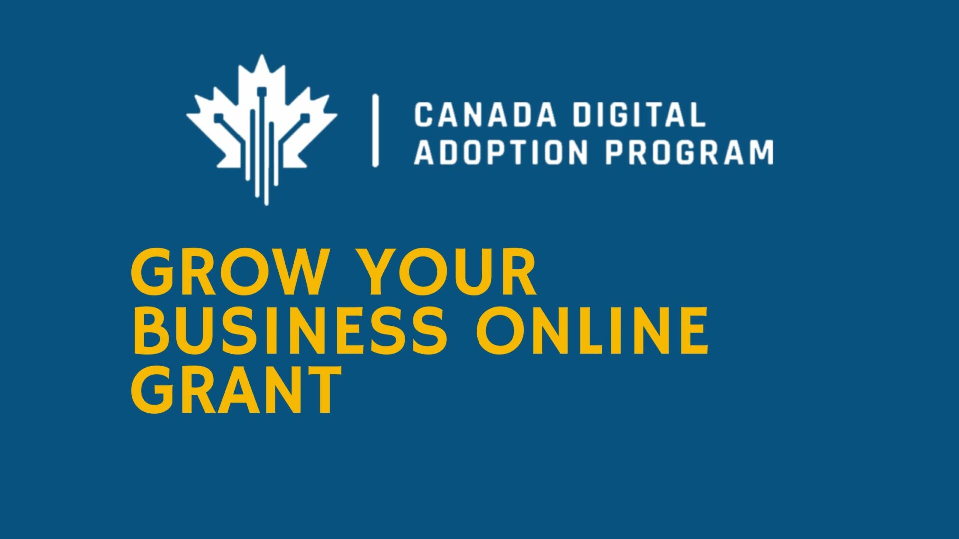 Grow Your Business Online Grant by CDAP